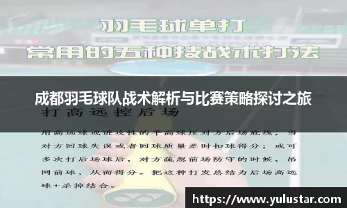 成都羽毛球队战术解析与比赛策略探讨之旅